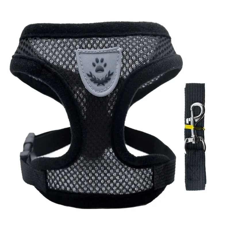 Breathable Mesh Small Dog Harness & Leash Set - Comfortable, Stylish, and Secure in 7 Vibrant Colors Black / S (1.5-2.5kg) - Dog Store Online