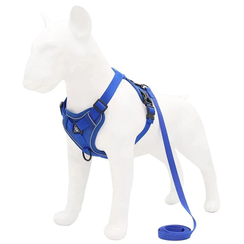 No Pull Reflective Dog Harness and Leash Set - Adjustable Mesh Vest for Small Dogs Blue / M 3.5-5.5 kg - Dog Store Online