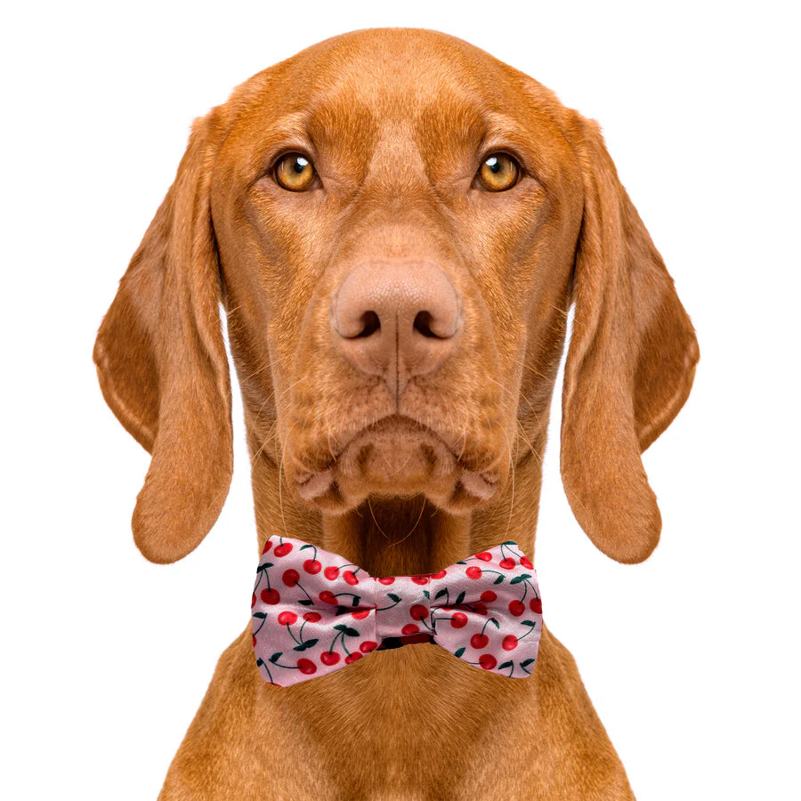 cherries_bow_tie