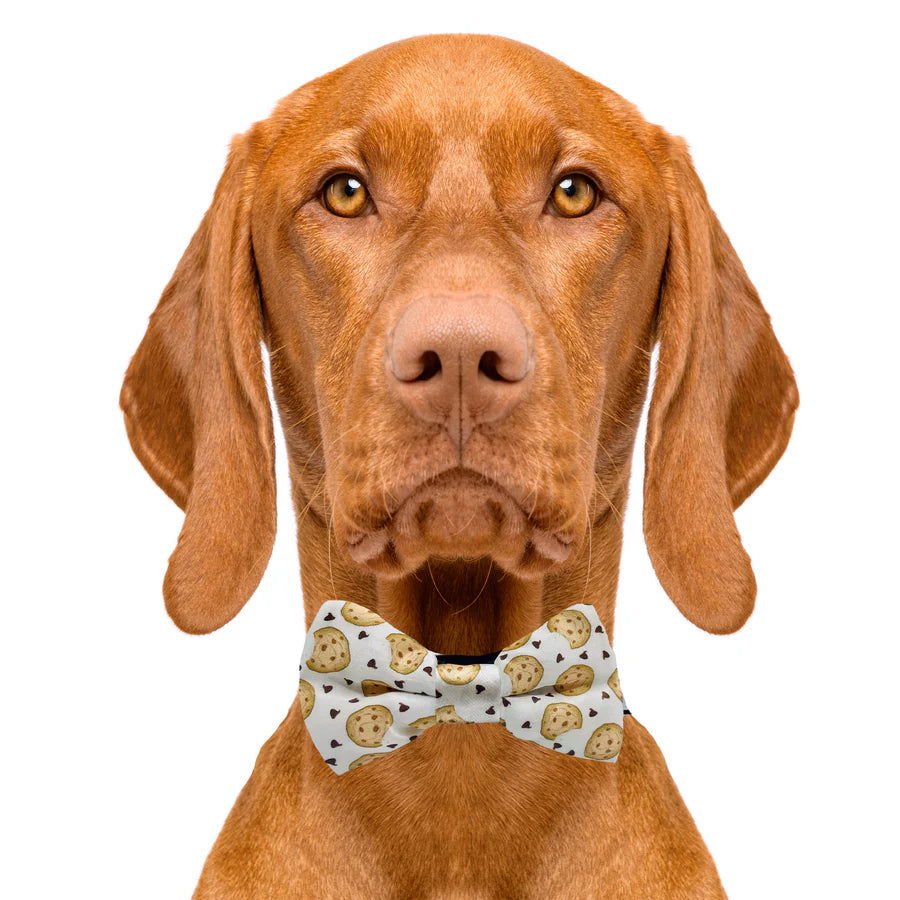 chocolate_chip_cookie_bow_tie