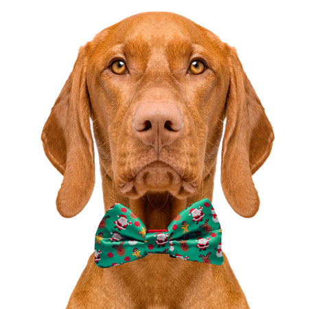 christmas_bow_tie