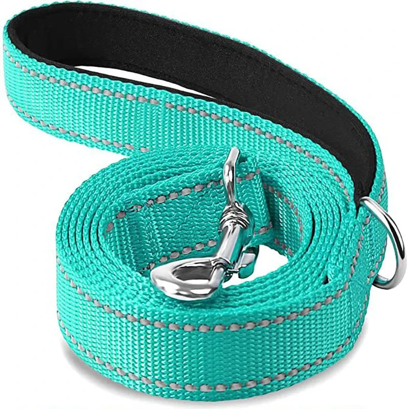 Night Reflection Dog Leash - Durable Walking & Training Leash (1.2m/1.5m/1.8m) cyan / 2.5x120cm - Dog Store Online