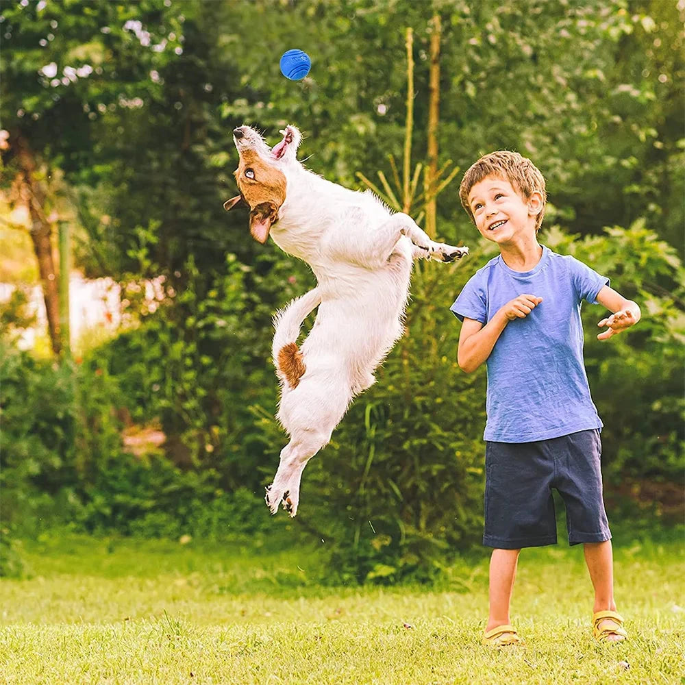 A dog jumps high in the air to catch a Durable Bouncy Dog Ball - Chew-Resistant Rubber for Outdoor Play & Training while a young boy smiles and looks at the dog. They are outdoors on a grassy area with green trees and bushes in the background. The boy is wearing a blue T-shirt, navy shorts, and sandals. The dog is white with brown spots.