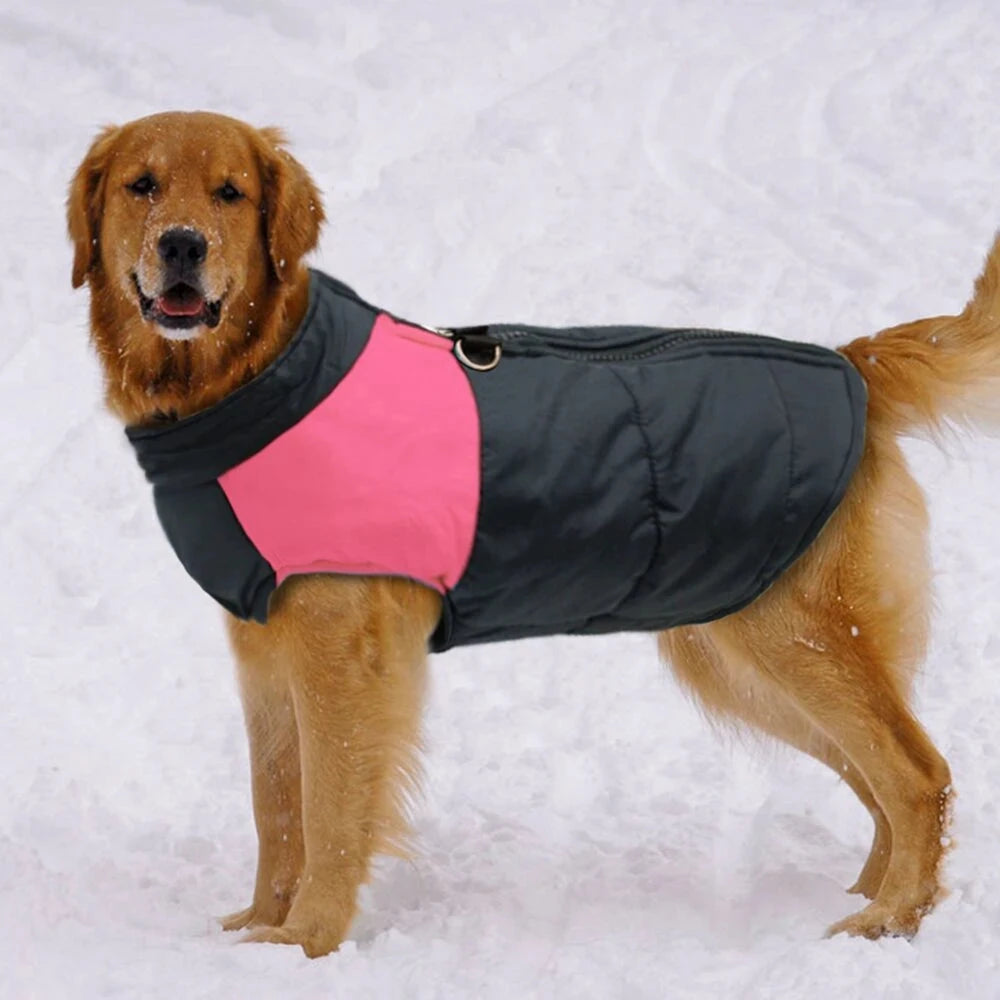 Waterproof Winter Warm Dog Vest - Cozy Padded Jacket with Zipper for Small, Medium, and Large Dogs - Dog Store Online