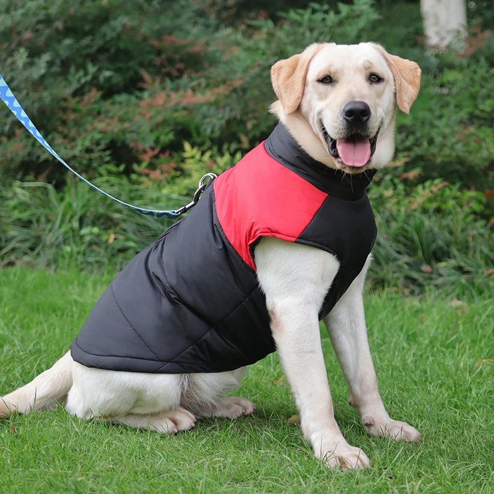 Waterproof Winter Warm Dog Vest - Cozy Padded Jacket with Zipper for Small, Medium, and Large Dogs - Dog Store Online