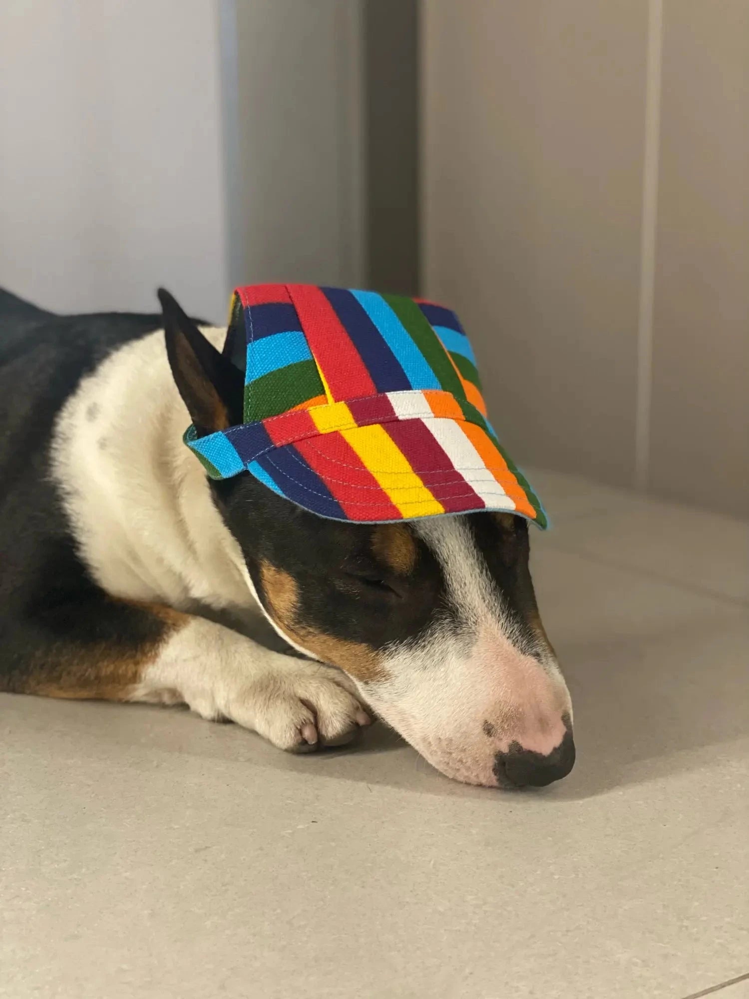 A black, brown, and white dog is sleeping on a light-colored floor, wearing a Stylish Canvas Dog Baseball Cap - Perfect for Small Dogs, Outdoor Adventures & Summer Fun with UV protection. The brightly colored, striped cap covers the dog's eyes and ears while offering an adjustable fit. In the background, there's a plain wall and a door frame.