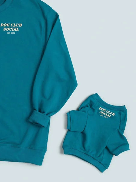 Teal sweatshirt and matching dog sweater with 'Dog Club Social' text on a light gray background