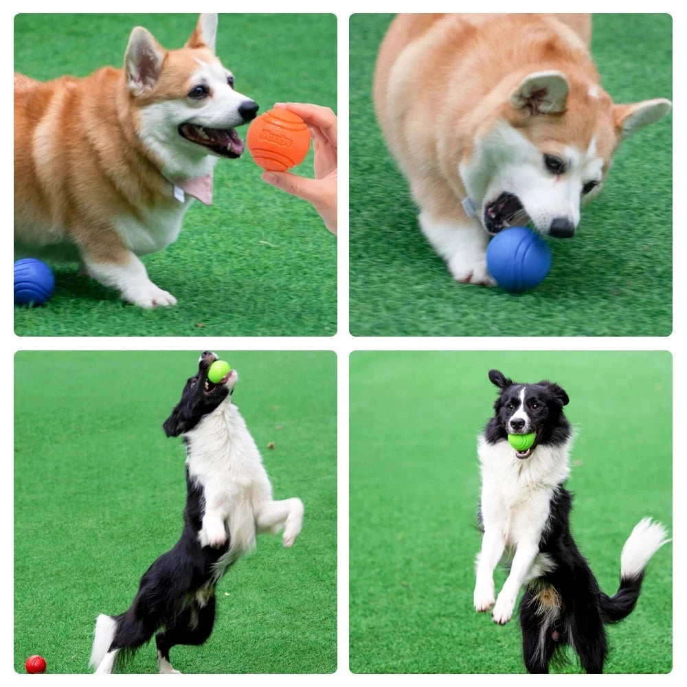 A collage of four images featuring two dogs. The top row shows a corgi with a red ball and a blue Durable Bouncy Dog Ball - Chew-Resistant Rubber for Outdoor Play & Training. In one image, it is being handed the red ball by a person. The bottom row shows a black and white border collie leaping in the air to catch a high bounce green ball in its mouth. Both dogs are on grassy surface.
