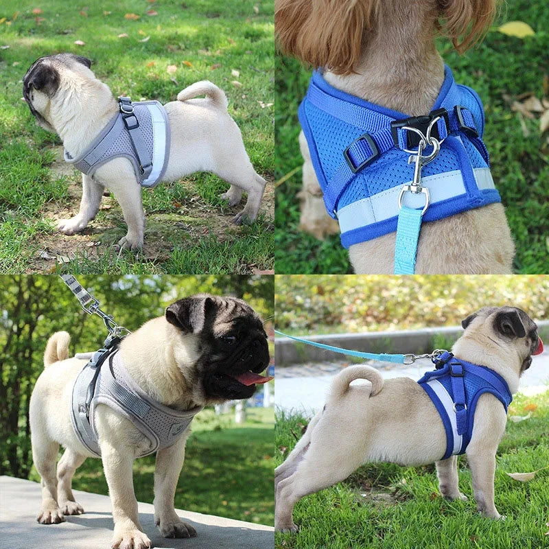 Reflective Safety Dog Harness and Leash Set – Durable Vest with Reflective Straps for Small to Medium Dogs - Dog Store Online