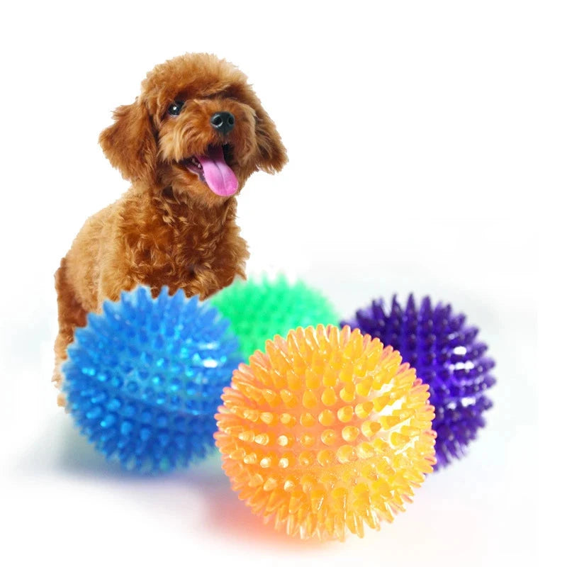 A fluffy brown dog with a happy expression sits behind four Chew-n-Squeak! Dog Toy Balls for Dental Health & Fun - Durable, Squeaky Teeth Cleaning Accessories arranged in front of it. The balls are blue, green, yellow, and purple, each featuring a bumpy texture. The dog has its tongue out and looks playful. The background is plain white, highlighting the dog and toys.