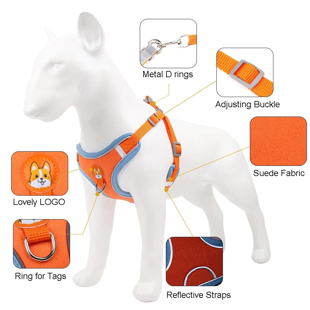 Adjustable No Pull Reflective Dog Harness & Leash Set – Perfect for Small Dogs - Dog Store Online