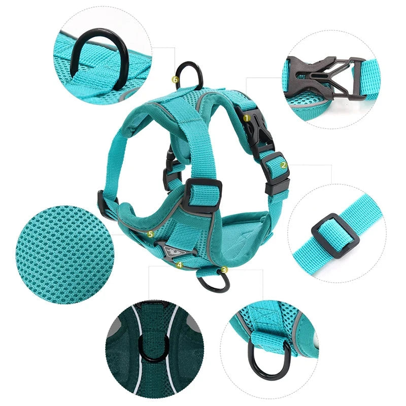 No Pull Reflective Dog Harness and Leash Set - Adjustable Mesh Vest for Small Dogs - Dog Store Online