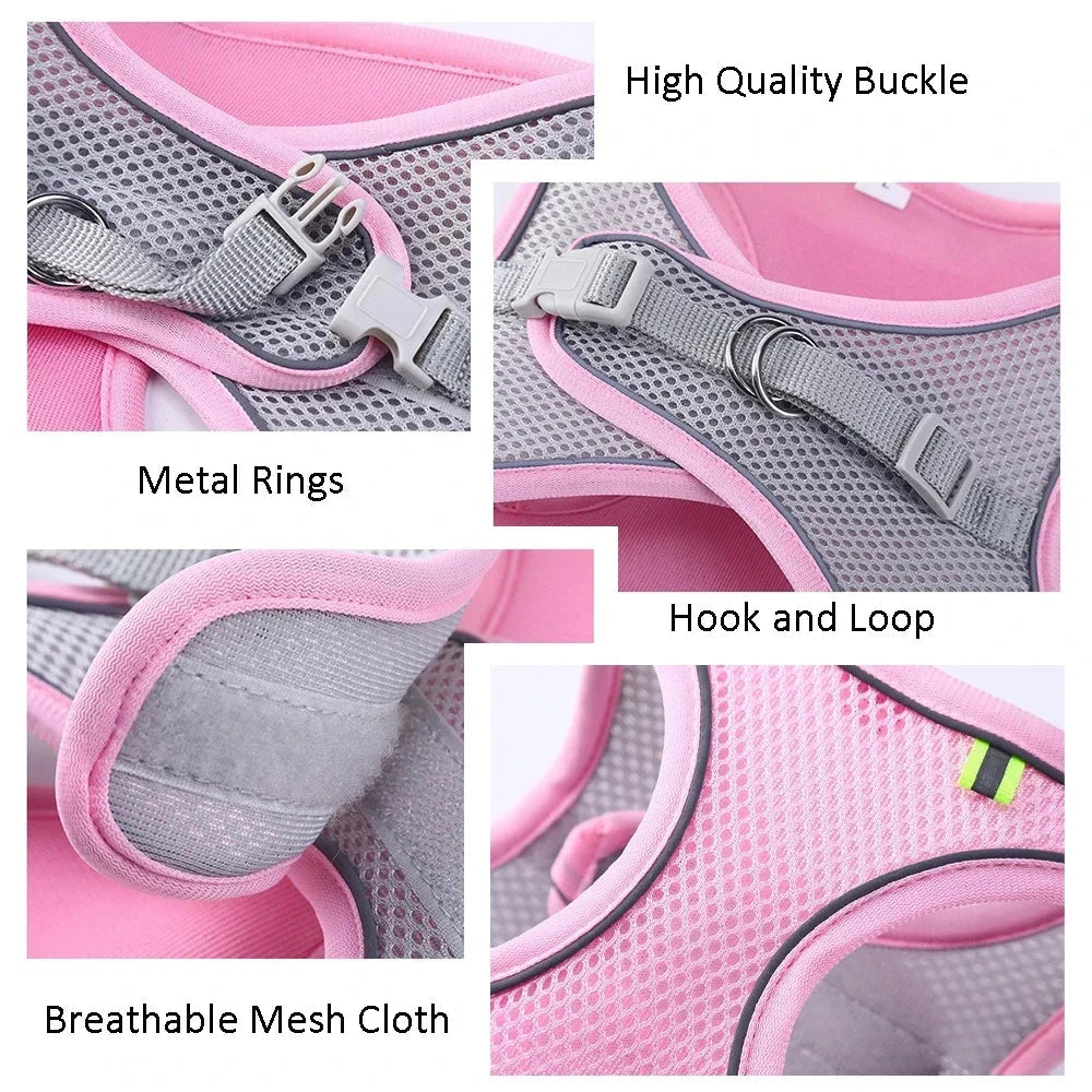 Summer Breeze Mesh Harness Vest and Leash Set - Adjustable and Breathable Outdoor Walking Gear for Small Dogs - Dog Store Online