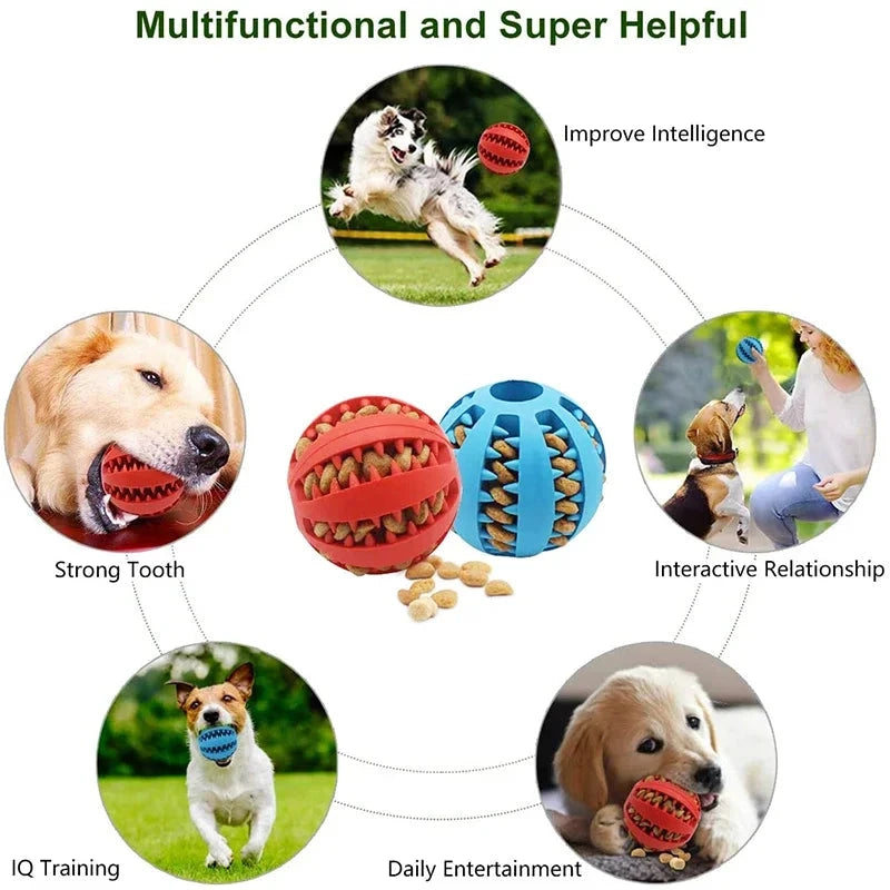 Interactive Elasticity Dog Ball Toy - Small Dog Chew & Tooth Cleaning Rubber Food Ball - Dog Store Online