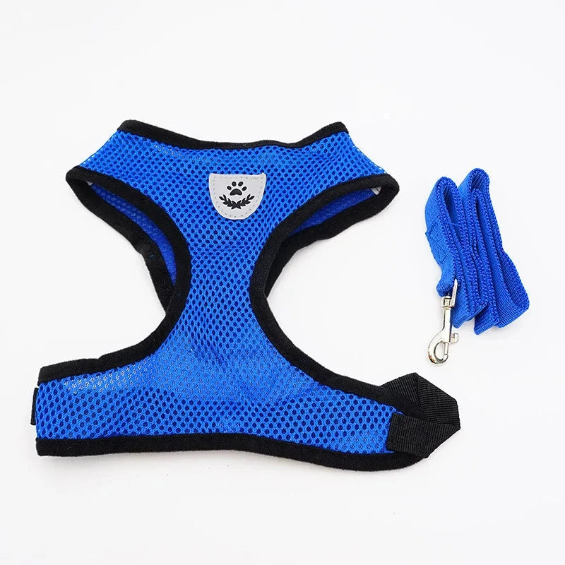 Breathable Mesh Small Dog Harness & Leash Set - Comfortable, Stylish, and Secure in 7 Vibrant Colors - Dog Store Online