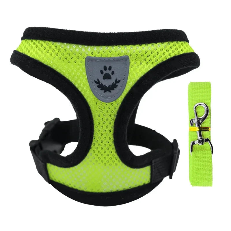 Breathable Mesh Small Dog Harness & Leash Set - Comfortable, Stylish, and Secure in 7 Vibrant Colors Green / XL (6-10kg) - Dog Store Online