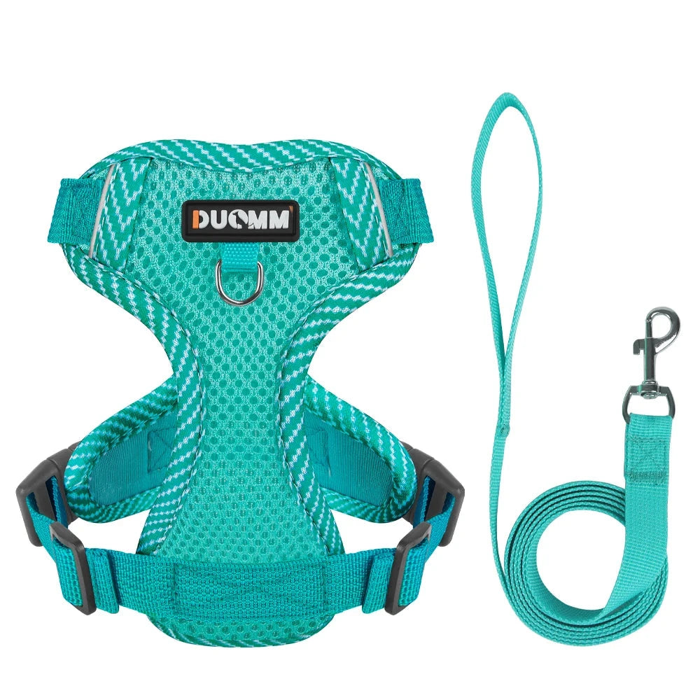 Ultimate Comfort & Control: 4-Point Adjustable Reflective Mesh Dog Harness and Leash Set LAKE BLUE / L - Dog Store Online