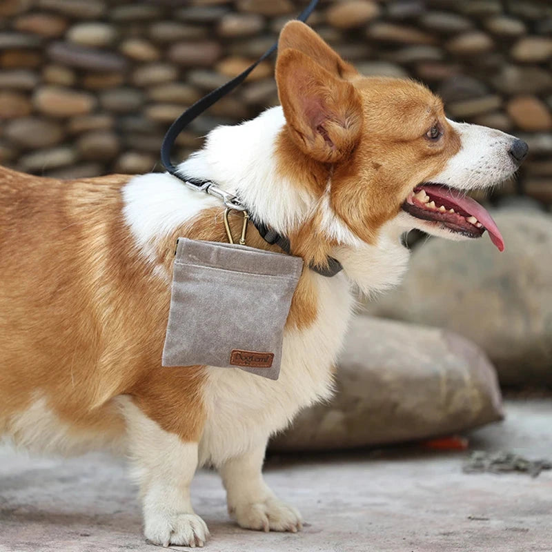 Portable Dog Training Treat Bag - Oil Resistant & Durable Snack Pouch with Secure Buckle - Dog Store Online