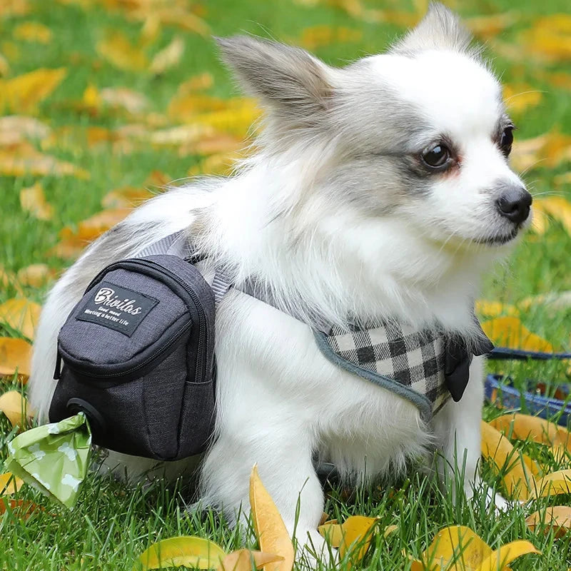 Ultimate Dog Treat & Poop Bag Dispenser: Durable Multifunctional Training and Travel Pouch for Outdoor Adventures - Dog Store Online