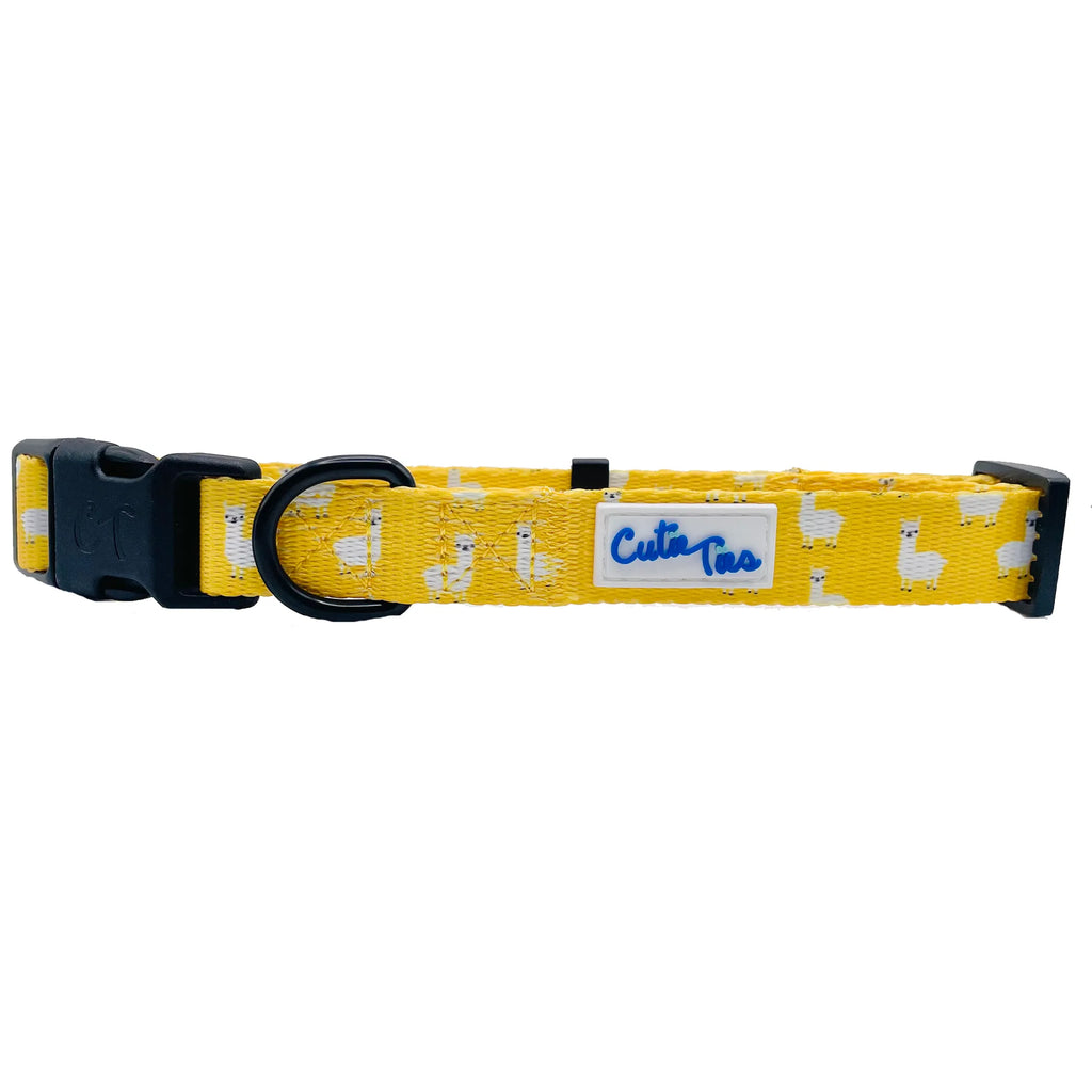 llama yellow collar
