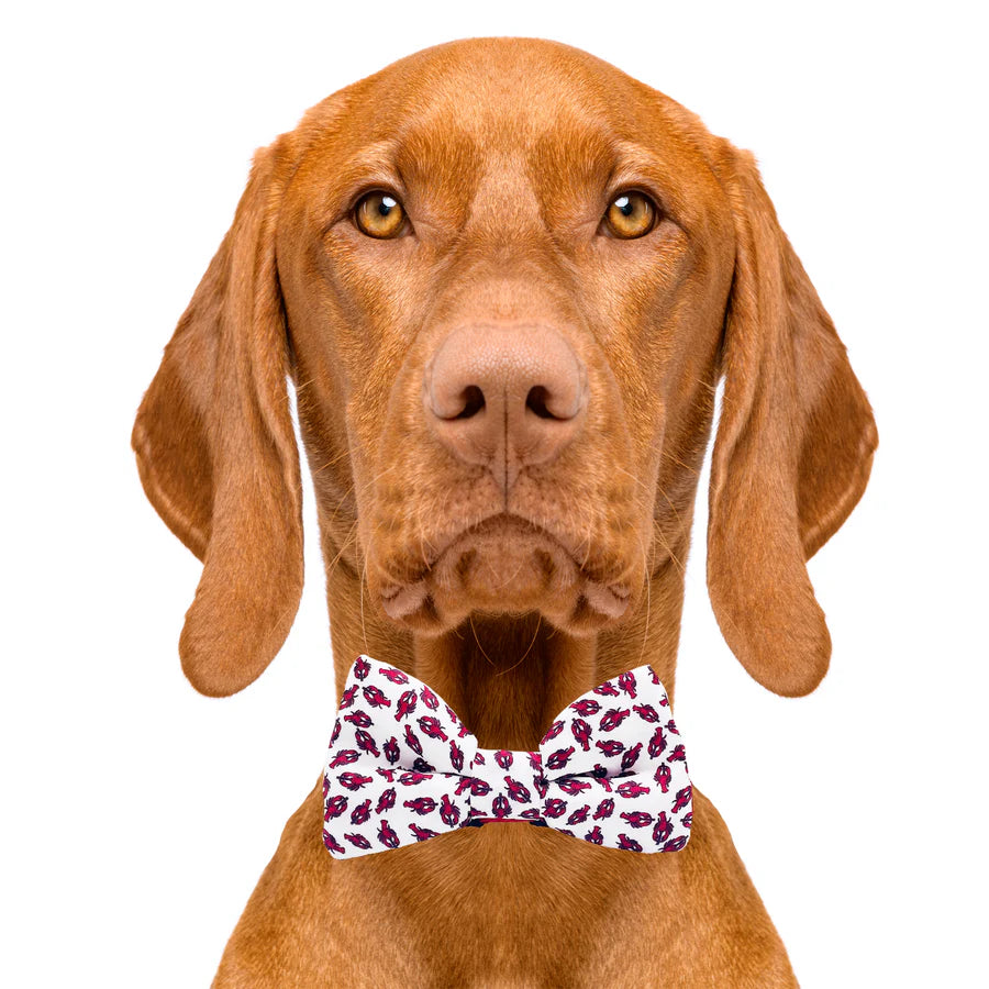 lobster_bow_tie