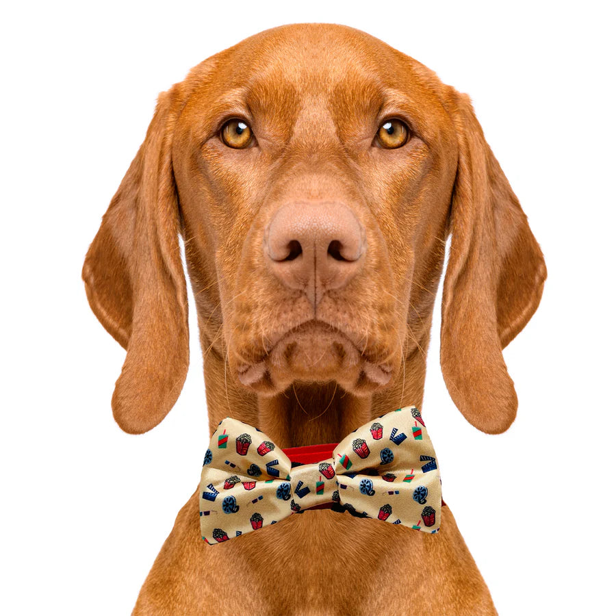 movie_night_bow_tie