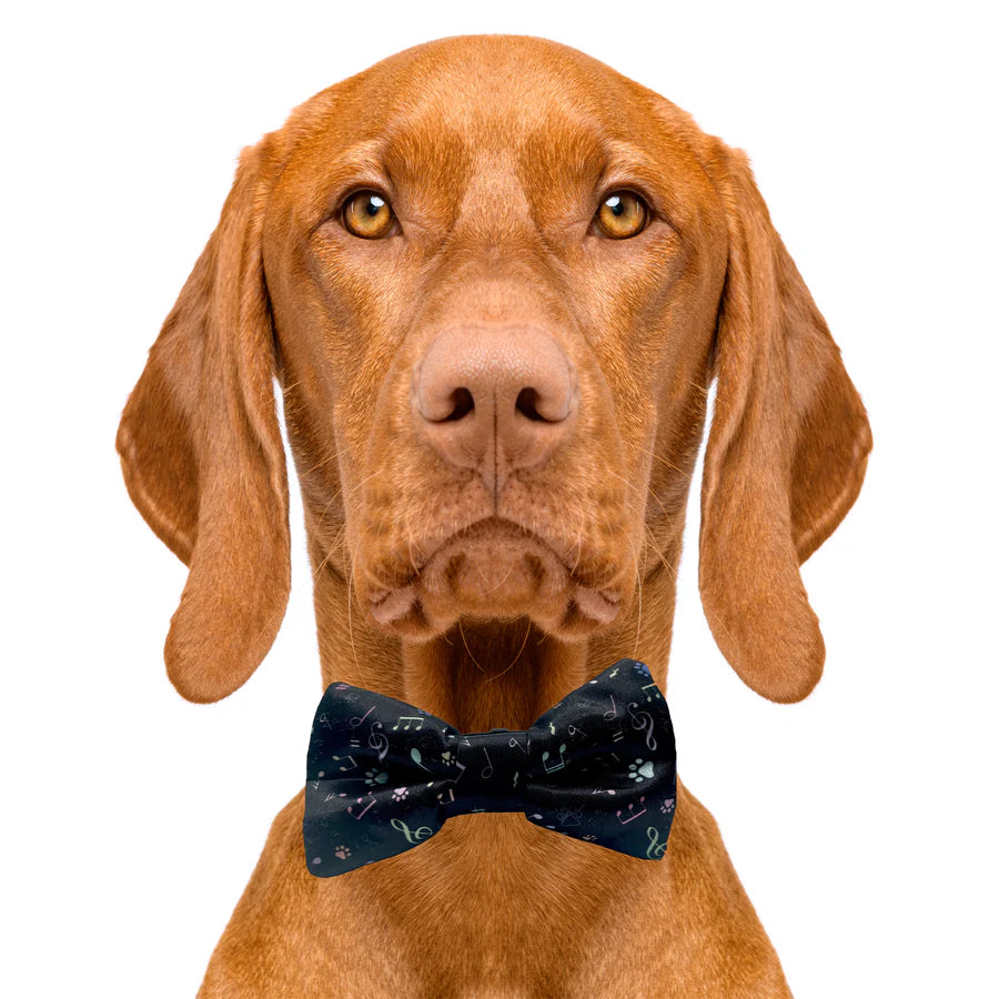 music_notes_black_bow_tie