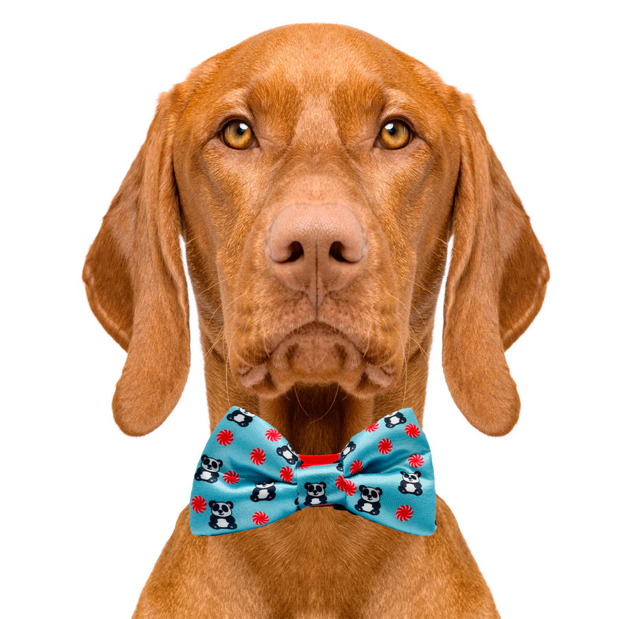 panda_bow_tie