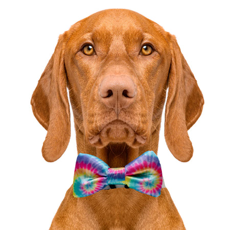 pastel_tie_dye_bow_tie