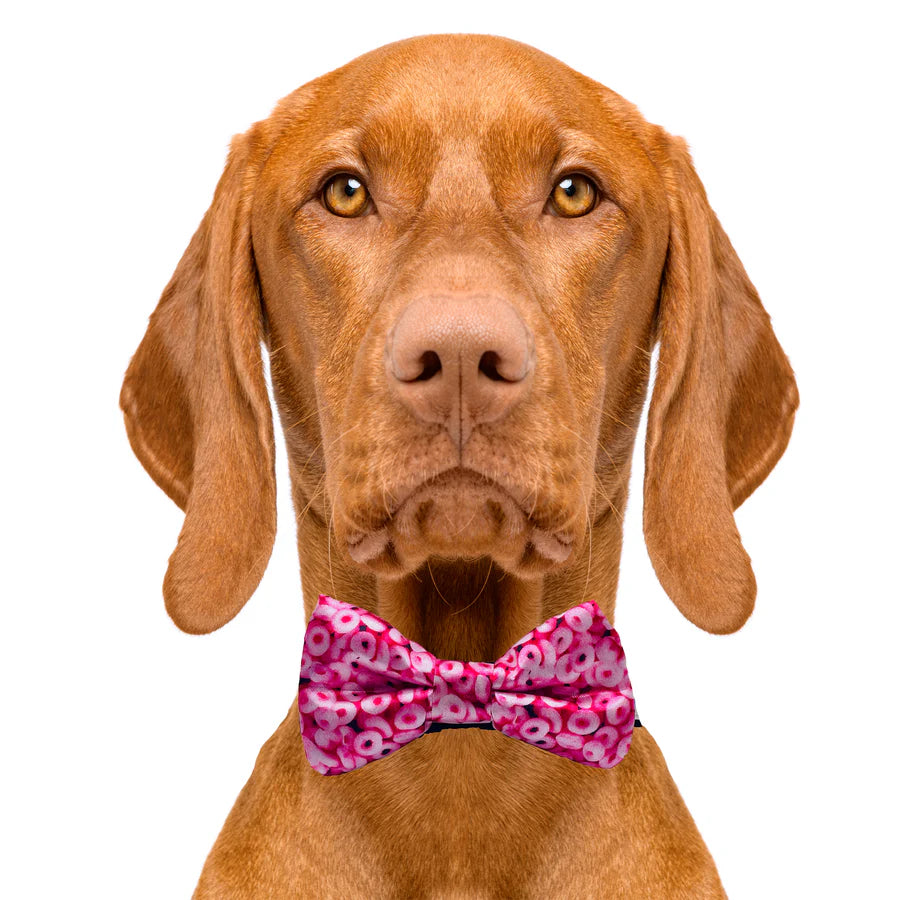 pink_cheerios_bow_tie