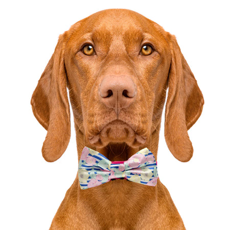 preppy_pet_floral_bow_tie