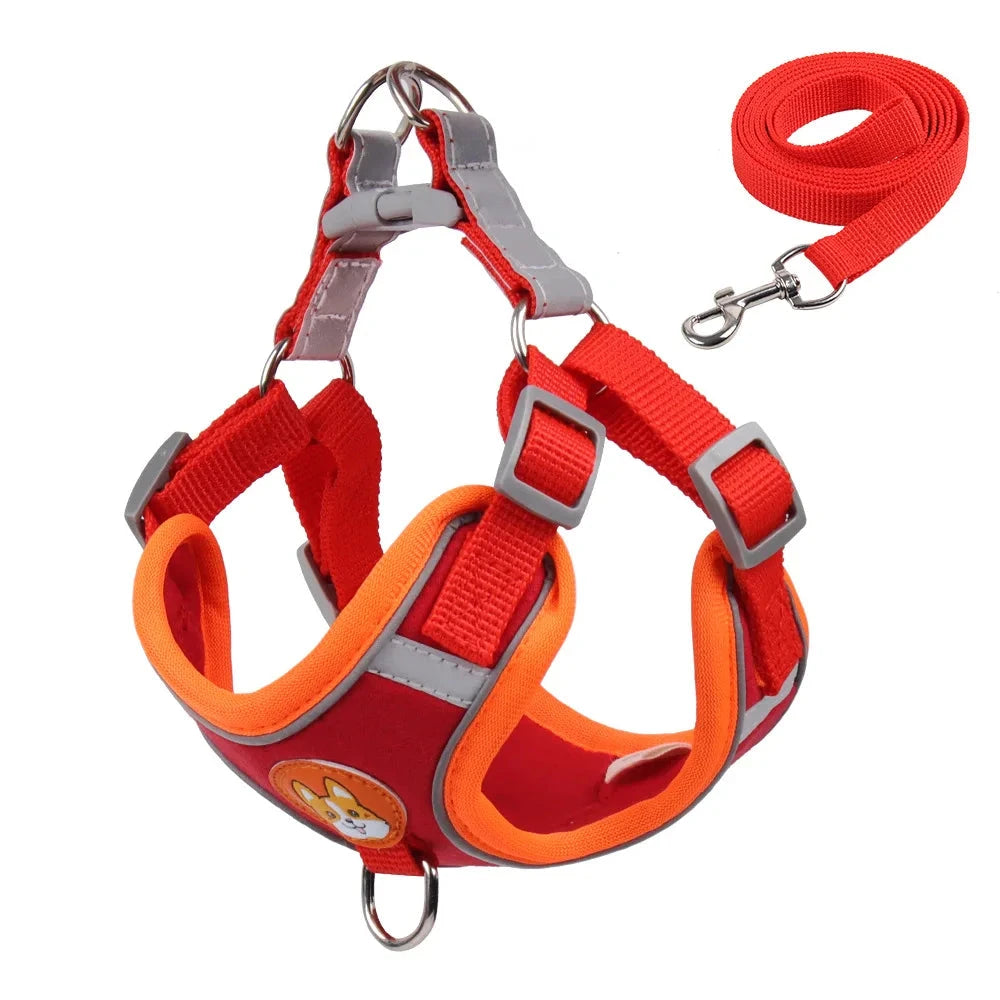 Adjustable No Pull Reflective Dog Harness & Leash Set – Perfect for Small Dogs RED / S 2-3 kg - Dog Store Online