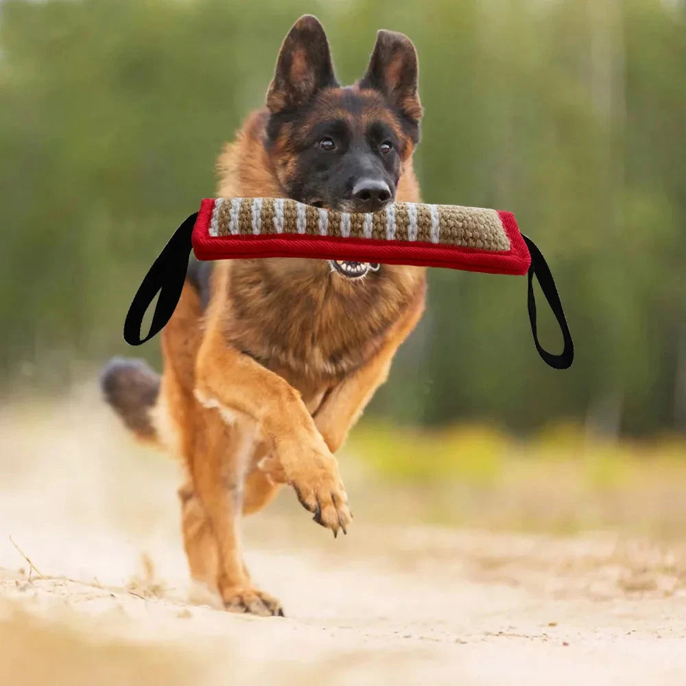 A German Shepherd dog runs energetically on a sandy path, with a firm grip on an Indestructible Rope Tug & Chew Toy for Dogs - Perfect for Training & Interactive Play in its mouth. The toy, made from non-toxic materials, withstands even aggressive chewers. The dog is captured mid-stride, ears perked up, with a blurred green and brown natural background adding a sense of motion to the scene.