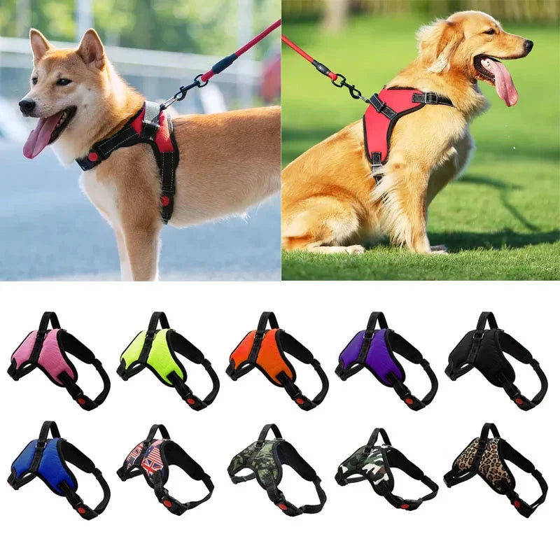 Adjustable Reflective Dog Harness and Leash Set - 10 Fun Colors, 5 Sizes - Safe and Comfortable Walks for All Dogs - Dog Store Online