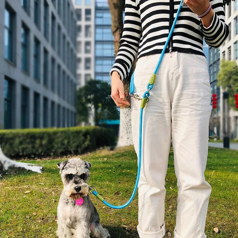 Reflective Nylon Hands-Free Dog Leash – Perfect for Running & Walking All Size Dogs - Dog Store Online