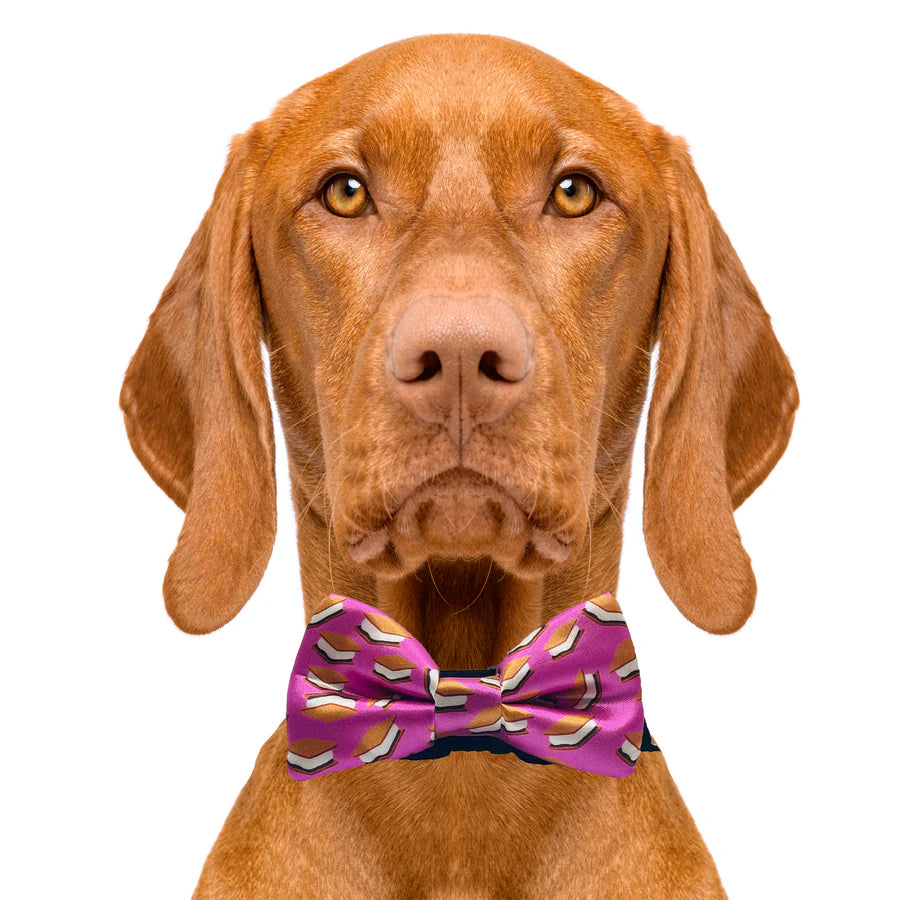 smores_bow_tie