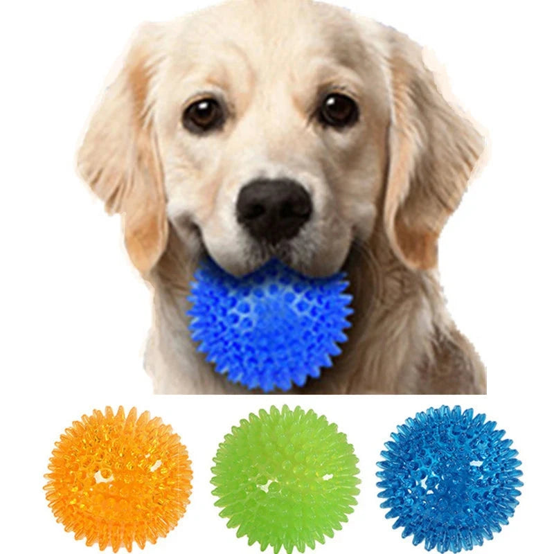 A light brown dog holds a Chew-n-Squeak! Dog Toy Ball for Dental Health & Fun - Durable, Squeaky Teeth Cleaning Accessory in its mouth. Below the dog, there are three spiky balls in orange, green, and blue colors, lined up horizontally. The image highlights both the dog's face and the colorful toy balls that promote dental health.