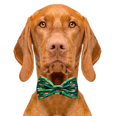 sushi_bow_tie