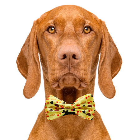 thanksgiving_bow_tie