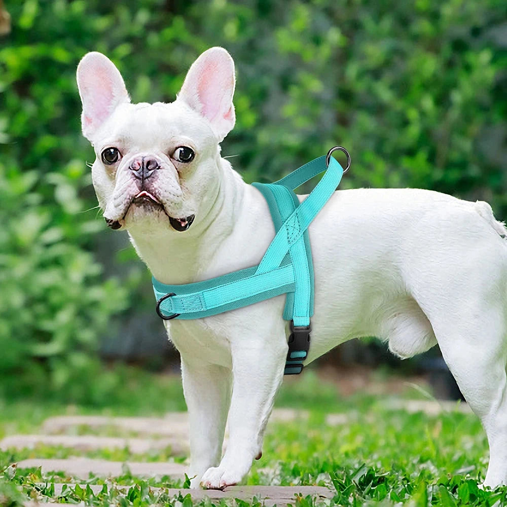 Ultimate No-Pull Nylon Dog Harness - Soft Padded Vest for Small to Large Dogs - Dog Store Online