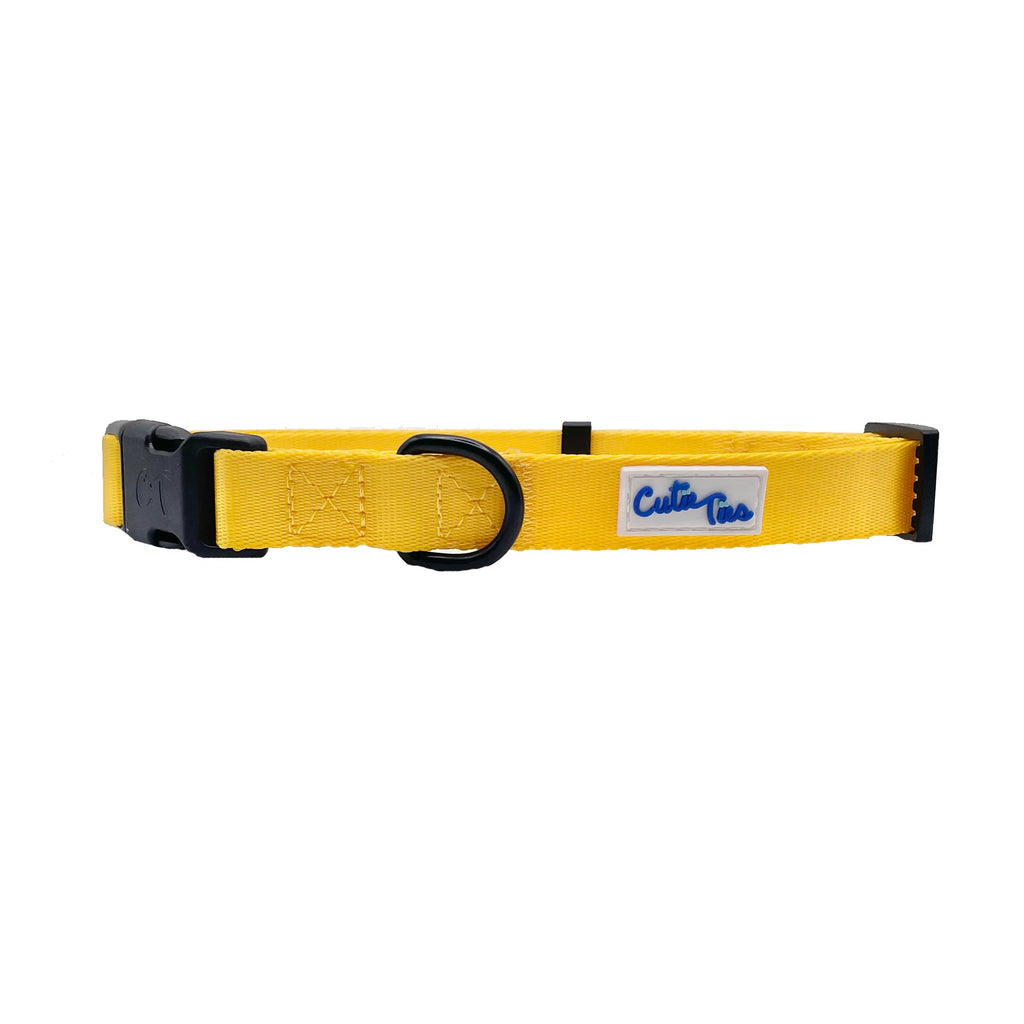 yellow collar