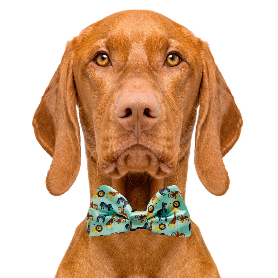 zoo_friends_bow_tie