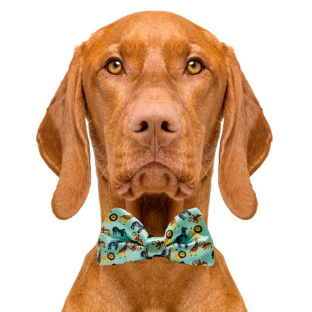 zoo_friends_bow_tie